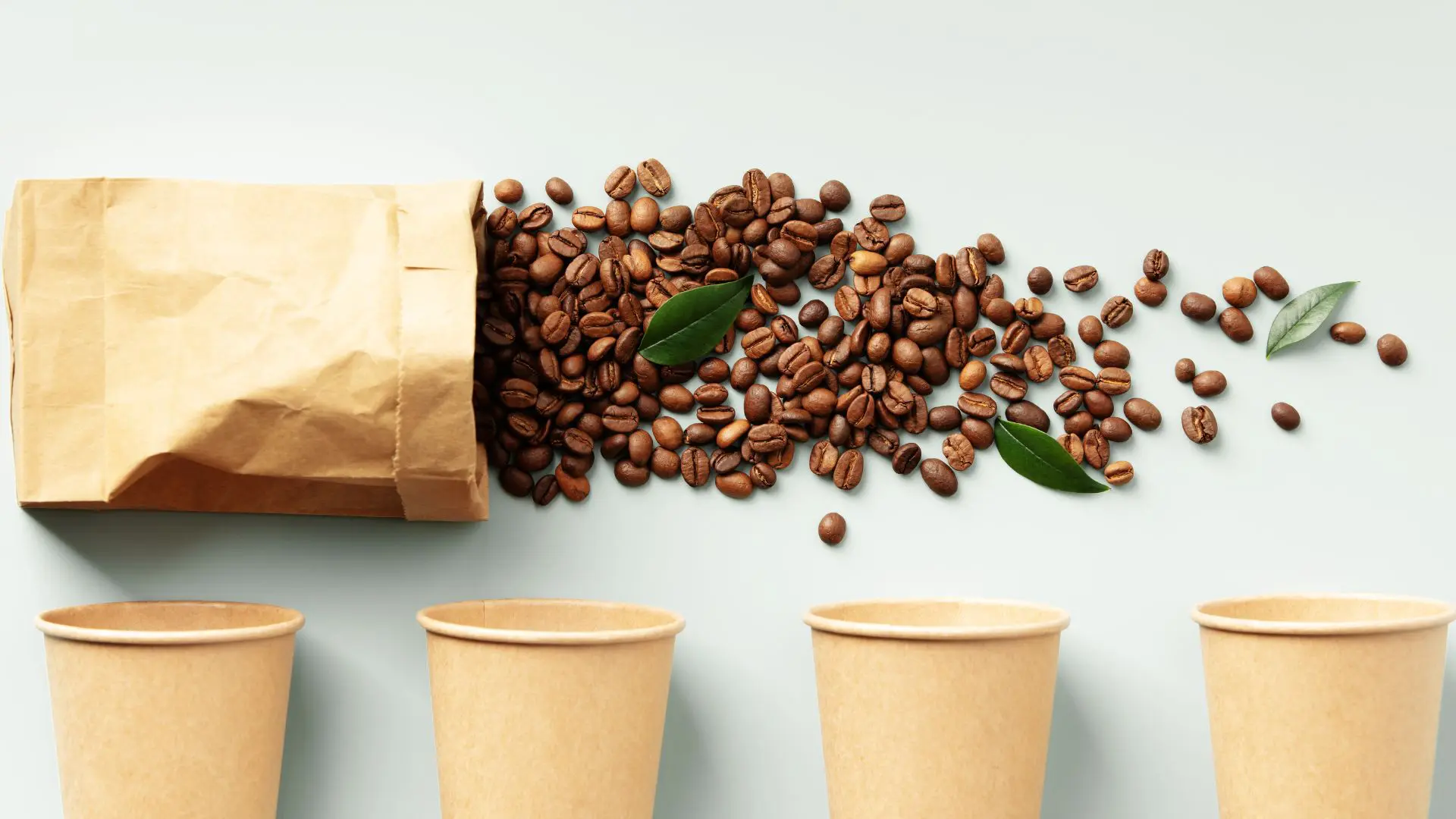 Creativeans_Desain Kemasan Kopi Meningkatkan Sales dengan Kreativitas › Creativeans Desain Kemasan Kopi Meningkatkan Sales dengan Kreativitas