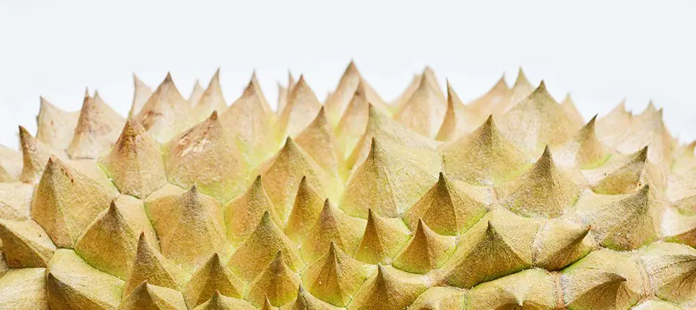 How to Brand Beyond Visuals: Tapping into All Five Sense for Sensory Branding › Creativeans Different Types of Branding